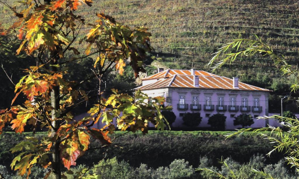 Casa Dos Varais, Manor House Lamego Exterior photo